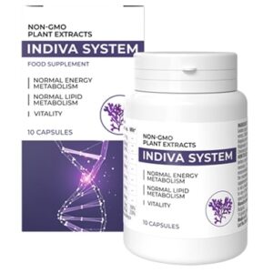 InDiva-System